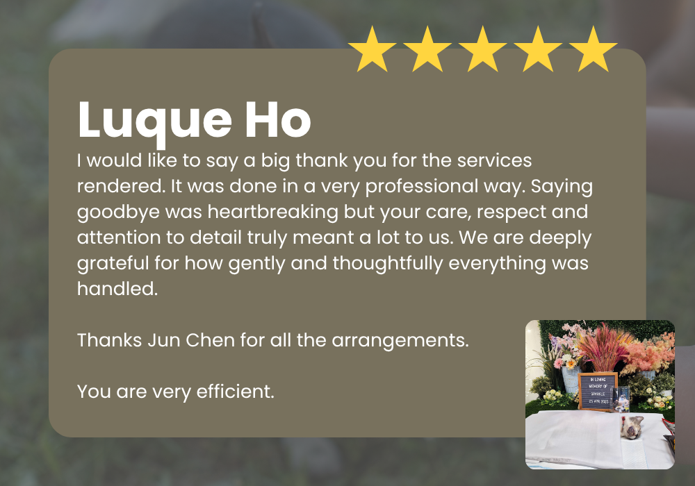 singapore pet columbarium