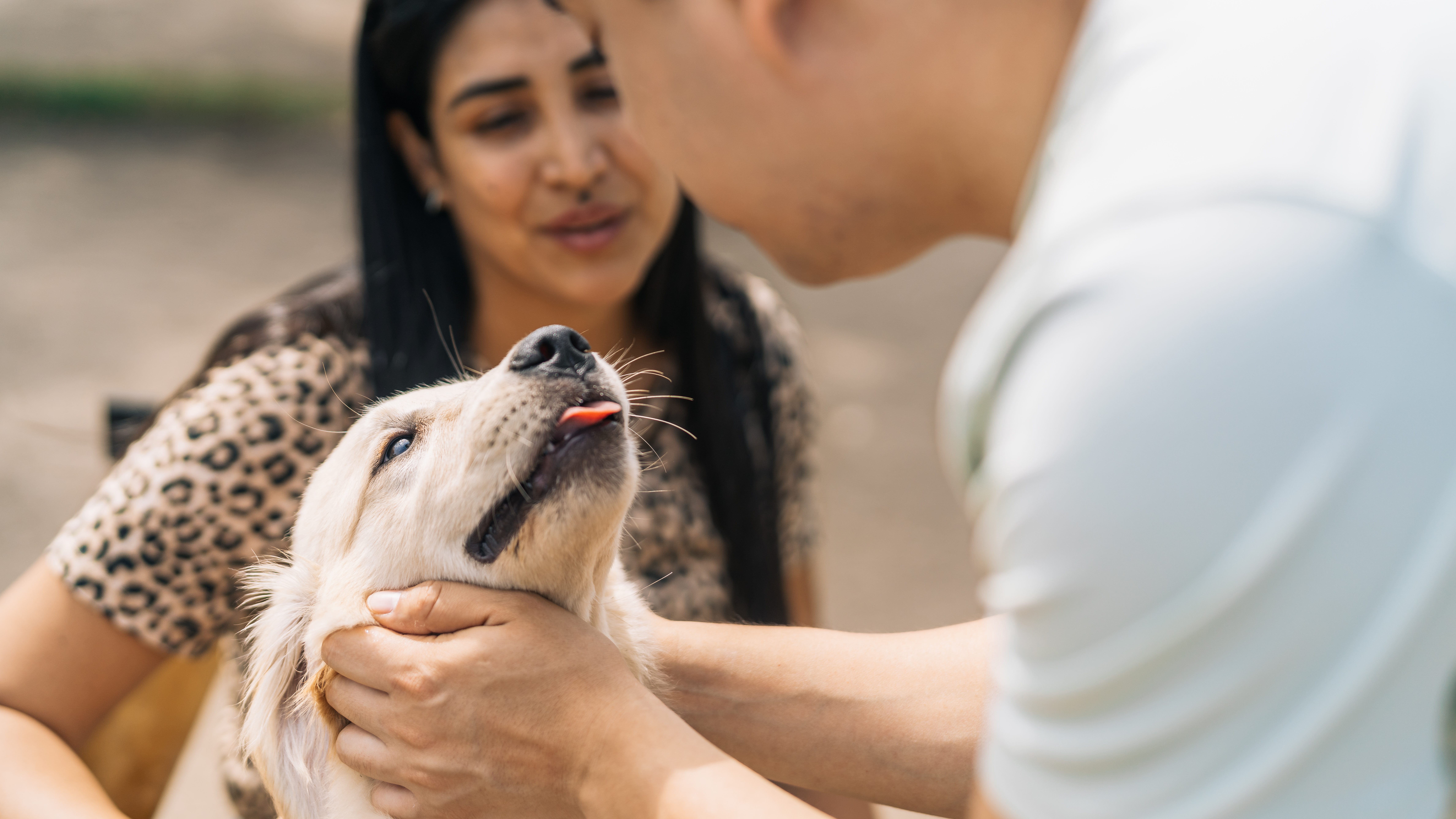 singapore pet columbarium